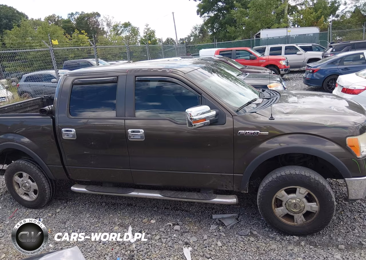 2009 Ford F-150 Xl-Xlt VIN:1FTRW14849KC53450 - 13