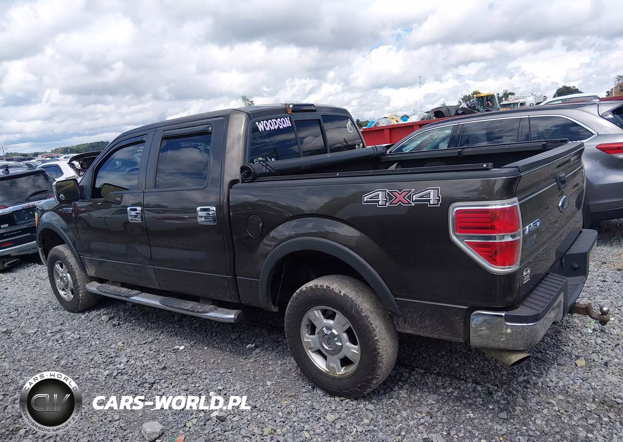 2009 Ford F-150 Xl-Xlt VIN:1FTRW14849KC53450 - 14