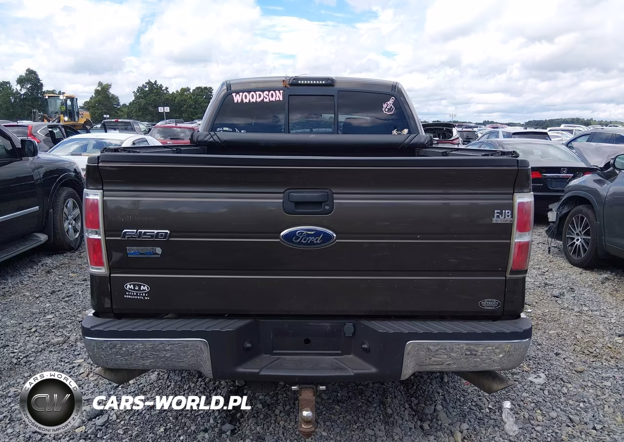 2009 Ford F-150 Xl-Xlt VIN:1FTRW14849KC53450 - 16