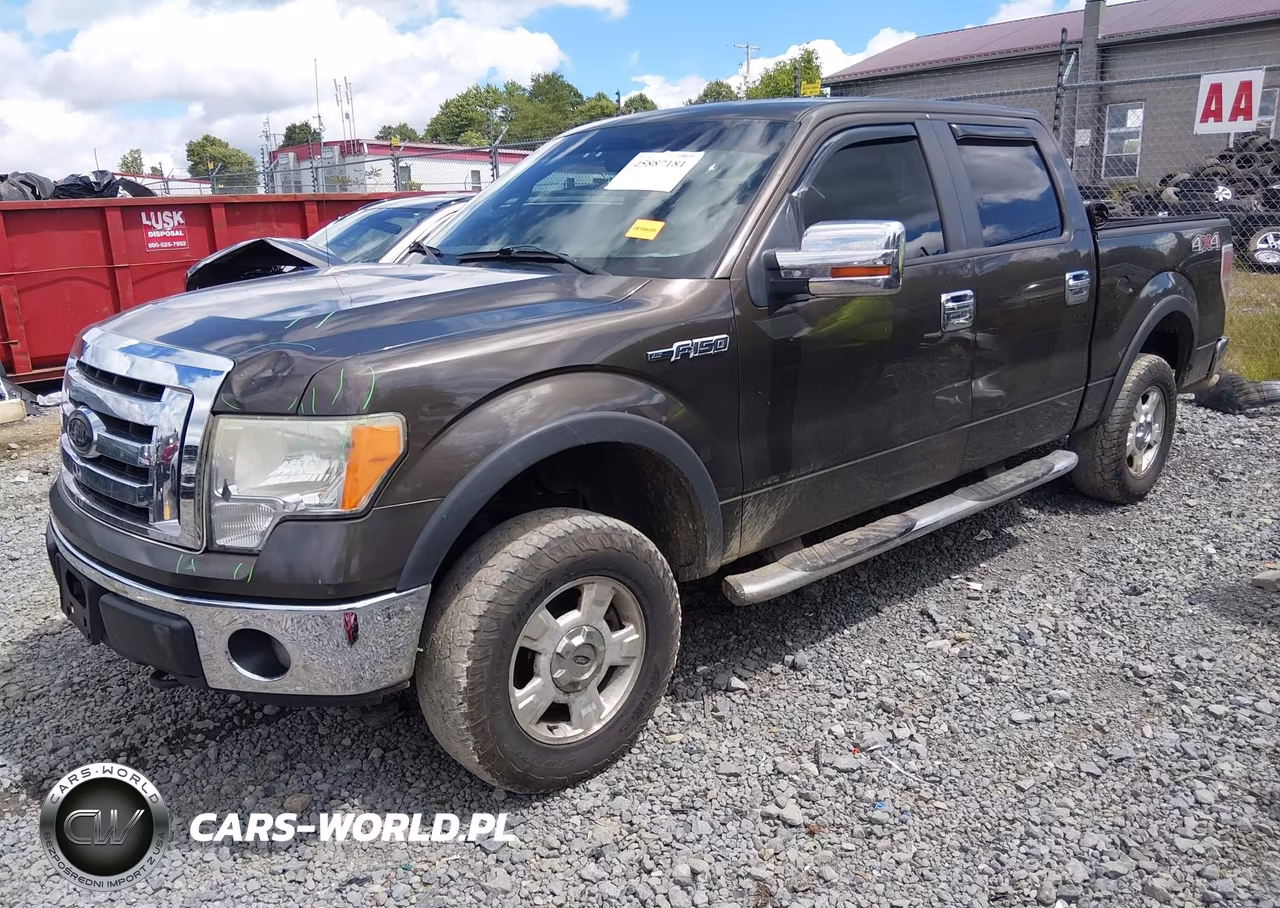 2009 Ford F-150 Xl-Xlt VIN:1FTRW14849KC53450 - 2