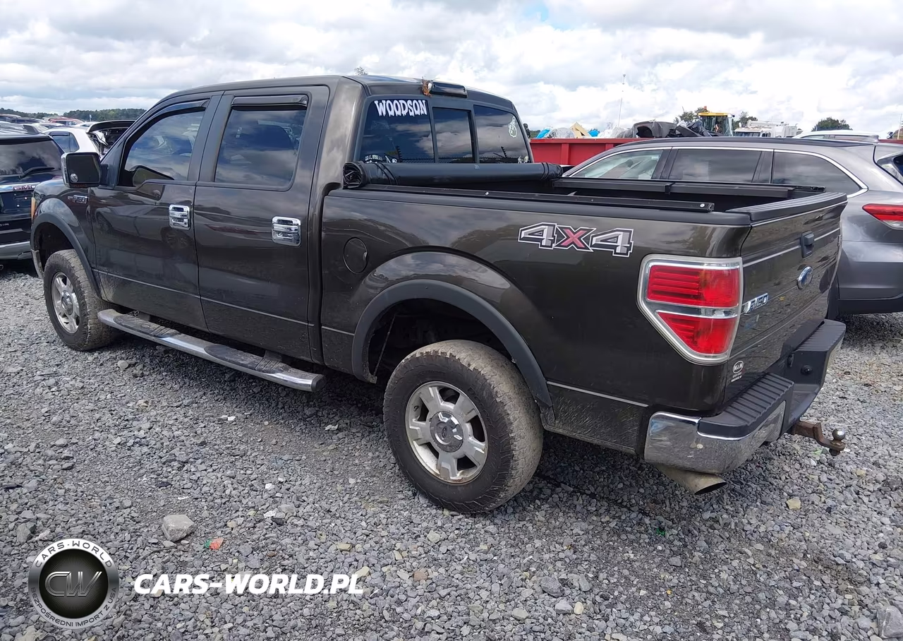 2009 Ford F-150 Xl-Xlt VIN:1FTRW14849KC53450 - 3