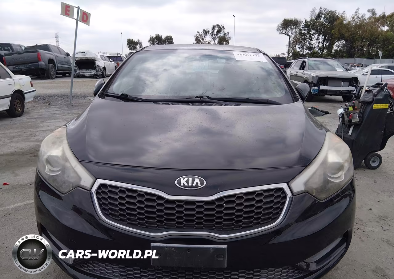 2015 Kia Forte Lx VIN:KNAFK4A6XF5425300 - 6