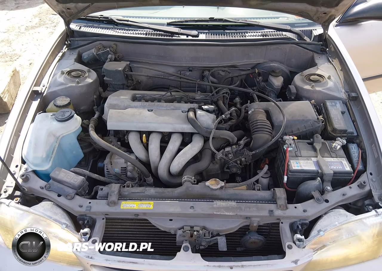1999 Toyota Corolla Ce VIN:2T1BR12E7XC104014 - 10