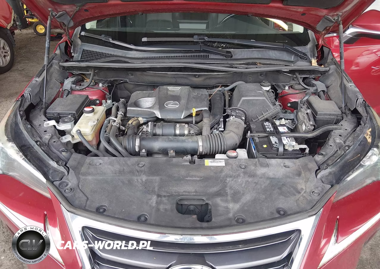 2015 Lexus Nx 200T VIN:JTJYARBZ0F2019805 - 10