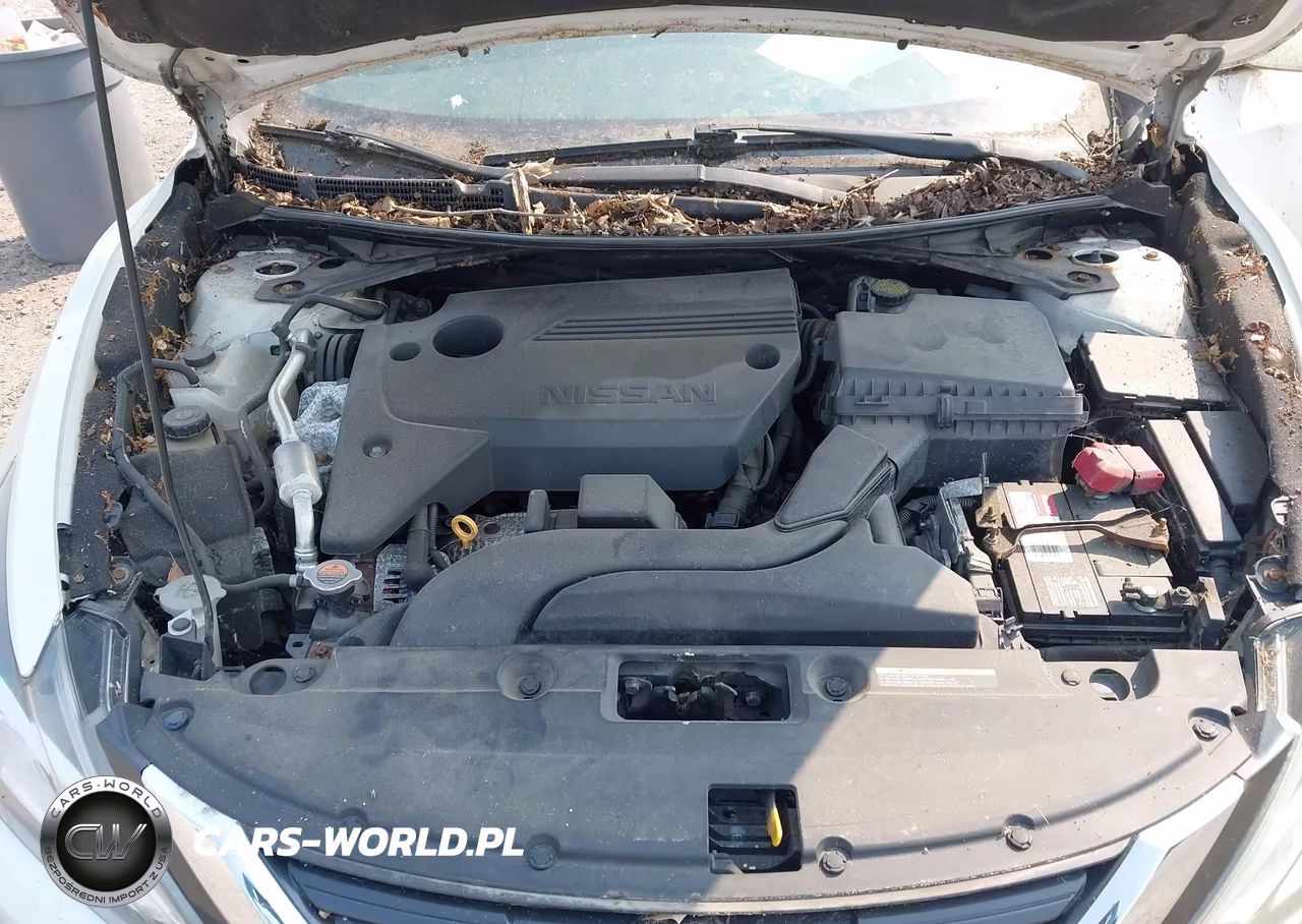2016 Nissan Altima 2.5-2.5 S-2.5 Sl-2.5 Sr-2.5 Sv VIN:1N4AL3AP9GC221717 - 10