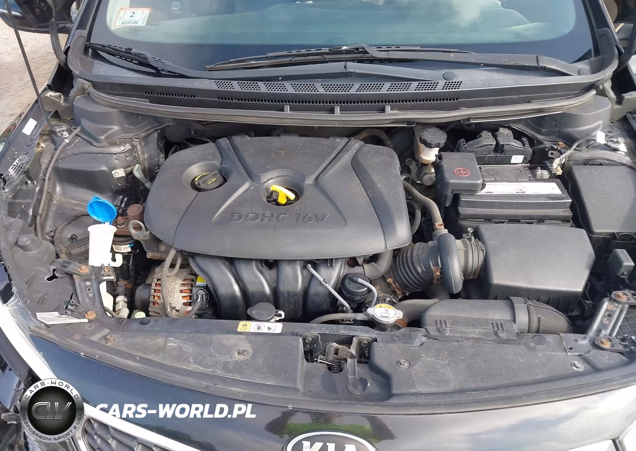 2015 Kia Forte Lx VIN:KNAFX4A61F5400013 - 10
