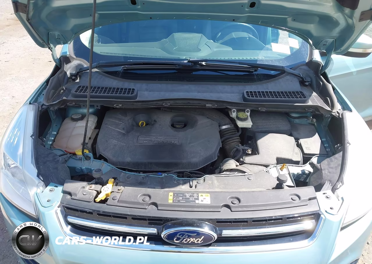 2013 Ford Escape Sel VIN:1FMCU9H9XDUB07172 - 10