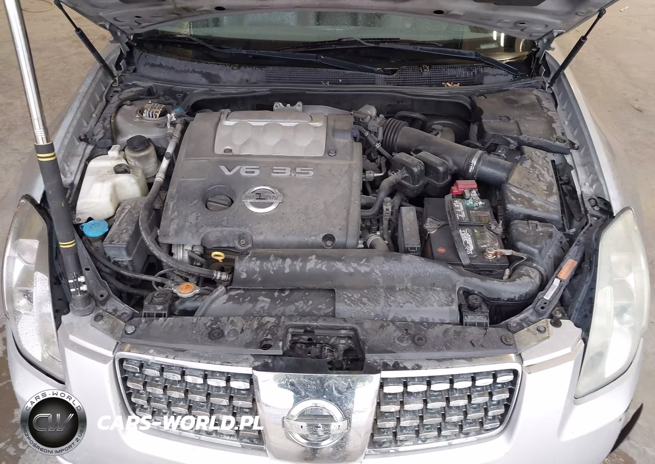 2005 Nissan Maxima 3.5 Se VIN:1N4BA41E35C842303 - 10