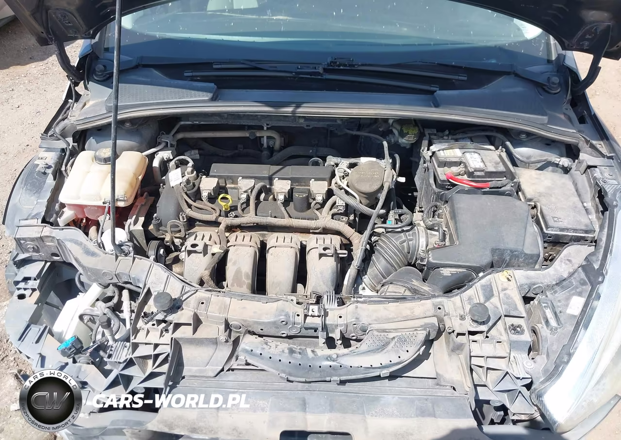 2015 Ford Focus Se VIN:1FADP3K23FL242615 - 10