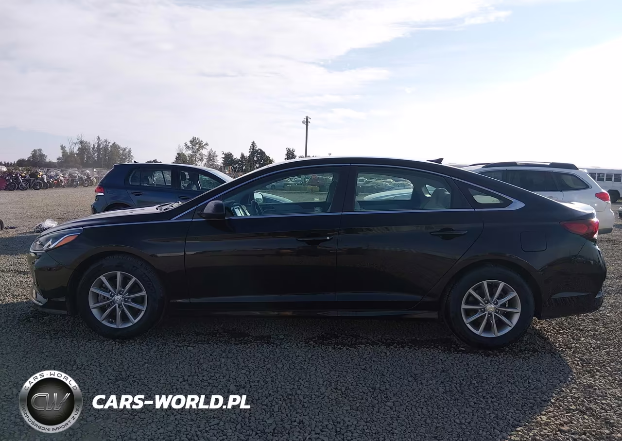 2018 Hyundai Sonata Eco VIN:5NPE24AA1JH692207 - 14