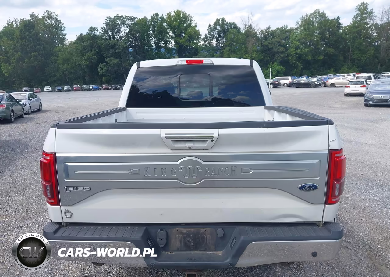 2017 Ford F-150 King Ranch VIN:1FTEW1EF5HFA83408 - 17
