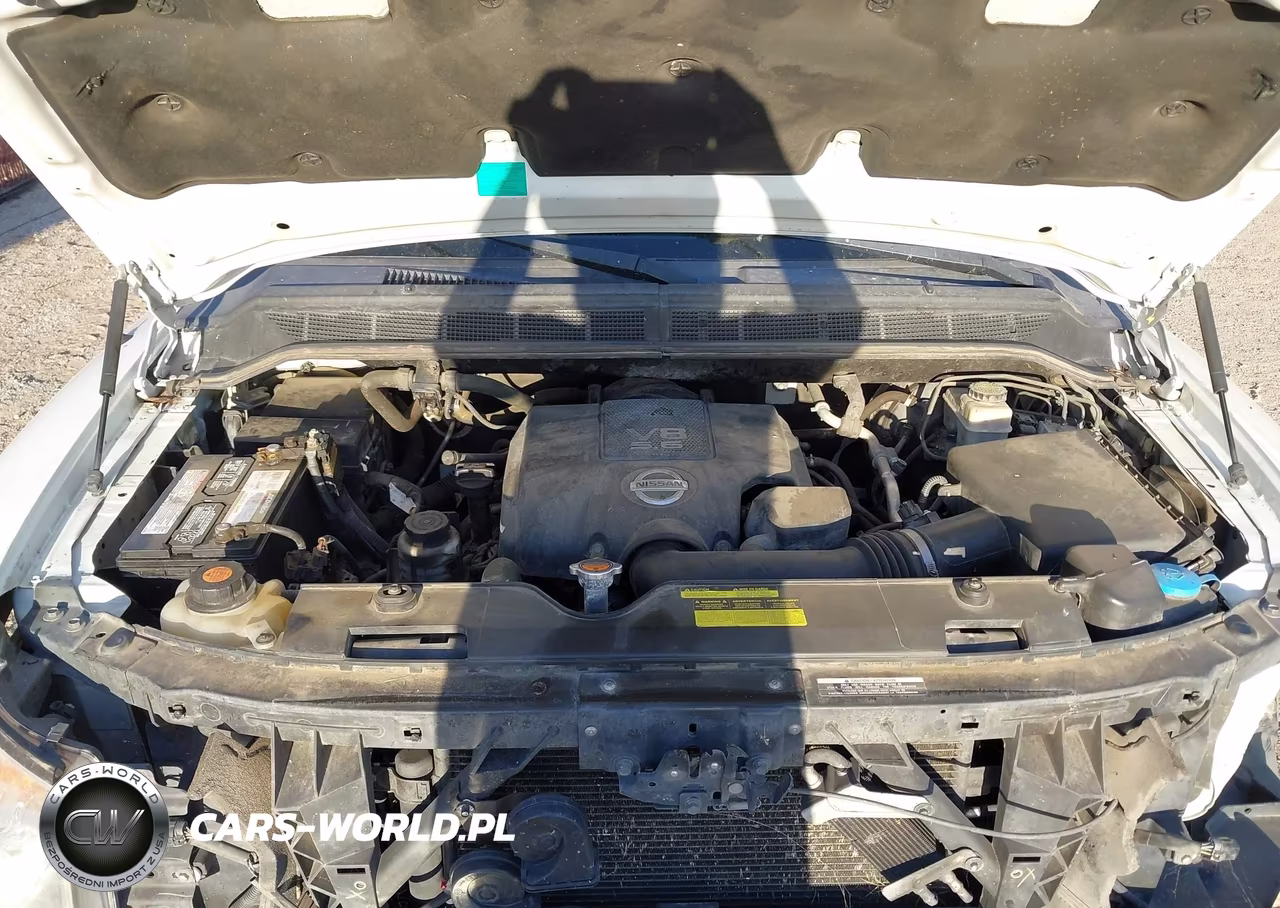 2015 Nissan Titan Pro-4X-S-Sl-Sv VIN:1N6AA0EC3FN505396 - 10