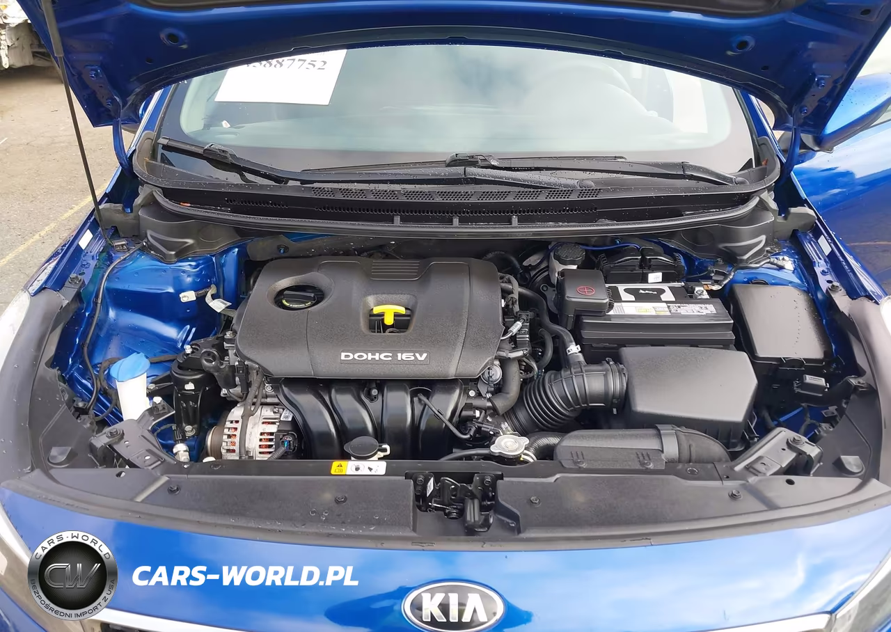 2017 Kia Forte Lx VIN:3KPFK4A72HE124295 - 10