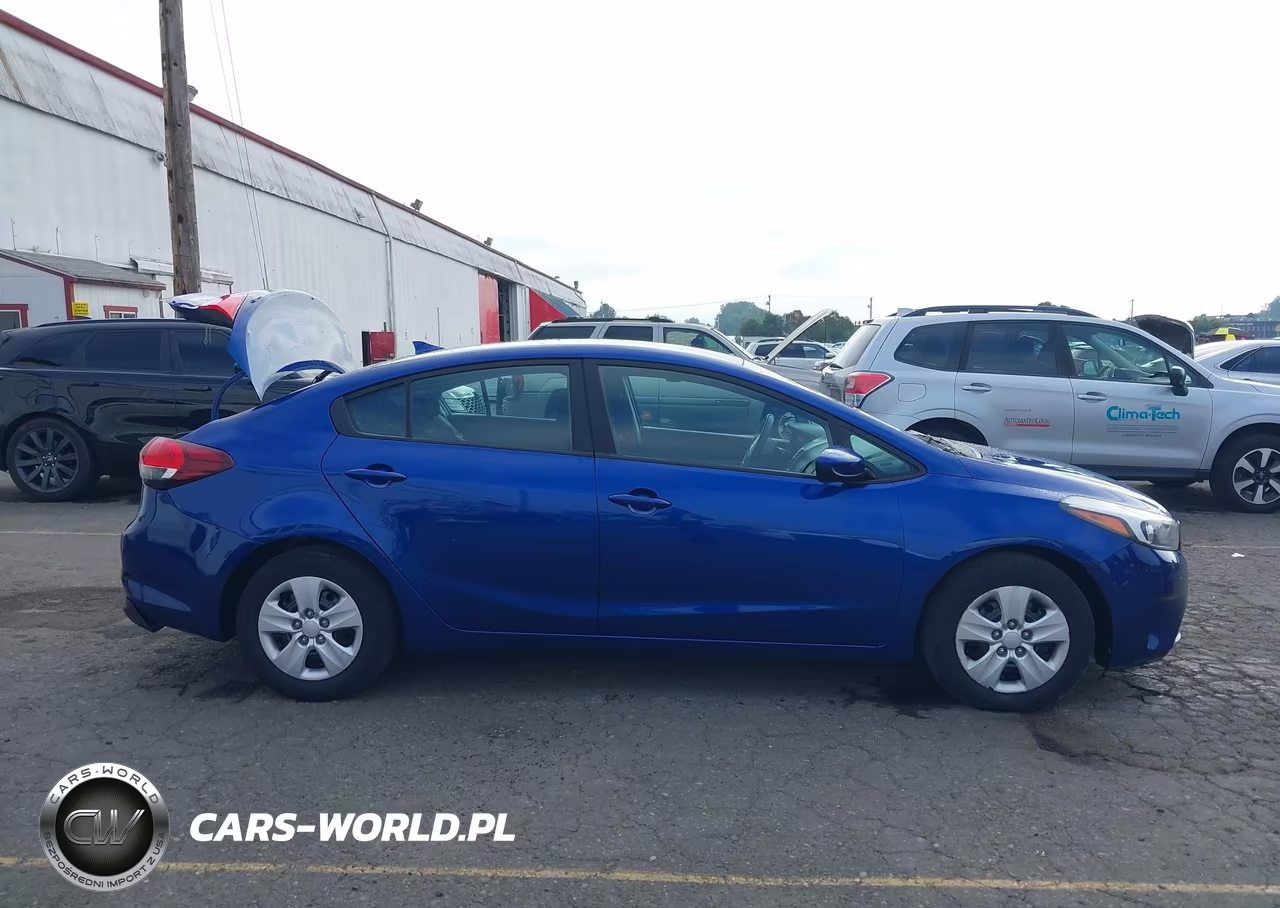 2017 Kia Forte Lx VIN:3KPFK4A72HE124295 - 13
