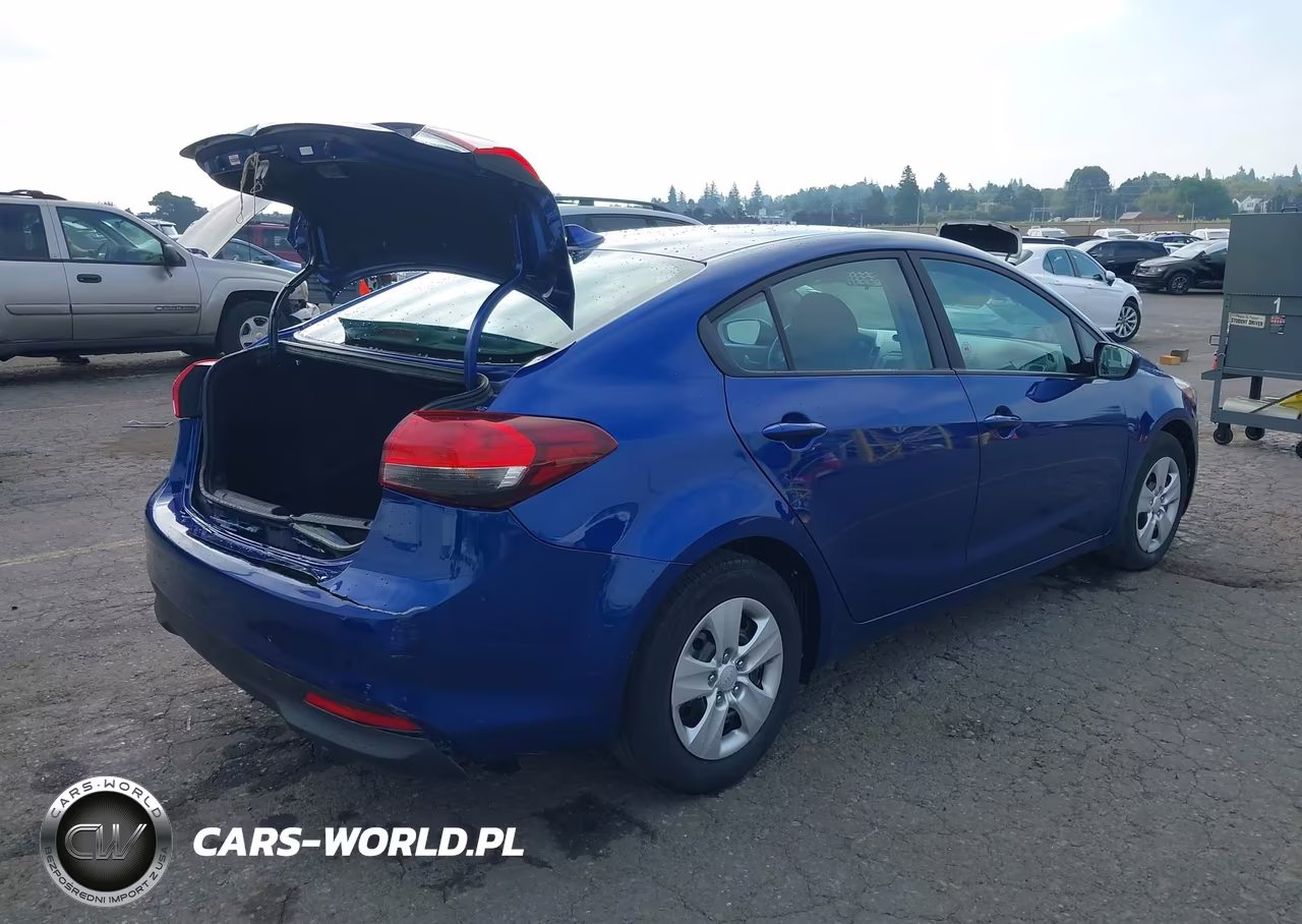 2017 Kia Forte Lx VIN:3KPFK4A72HE124295 - 4