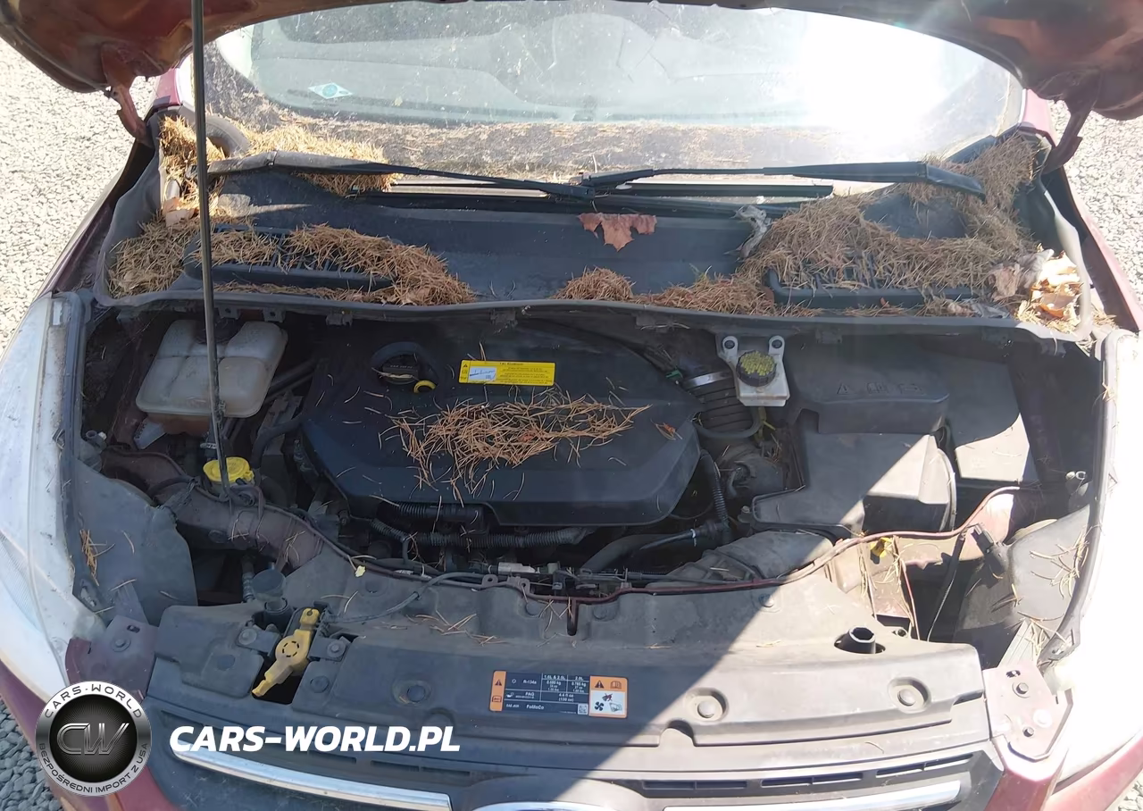 2016 Ford Escape Se VIN:1FMCU9GX7GUC88462 - 10