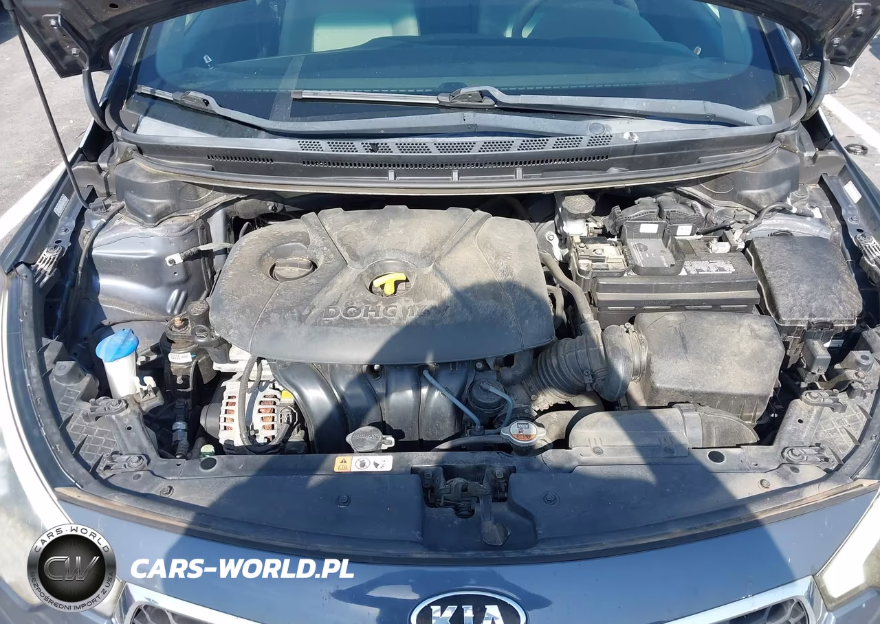 2015 Kia Forte Lx VIN:KNAFX4A69F5413978 - 10