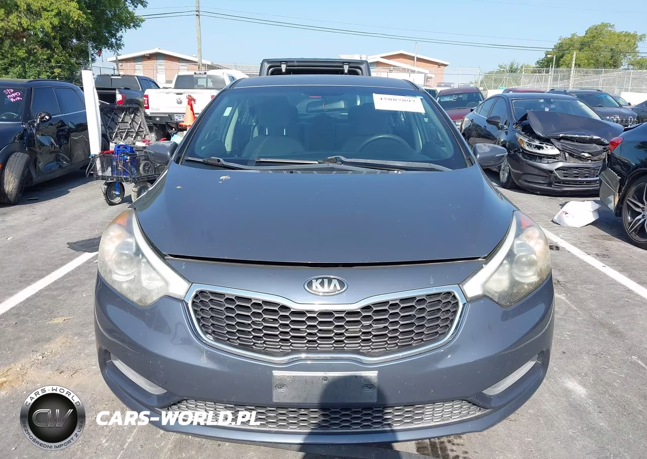 2015 Kia Forte Lx VIN:KNAFX4A69F5413978 - 12
