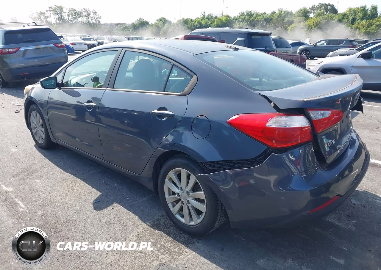 2015 Kia Forte Lx VIN:KNAFX4A69F5413978 - 3