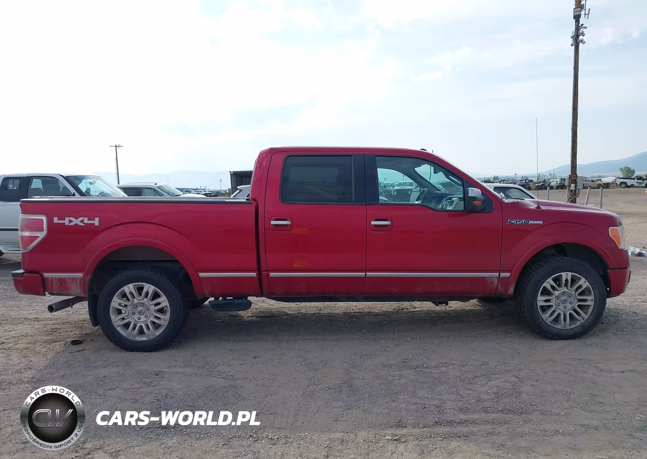 2010 Ford F-150 VIN:1FTFW1EV2AFD67337 - 12