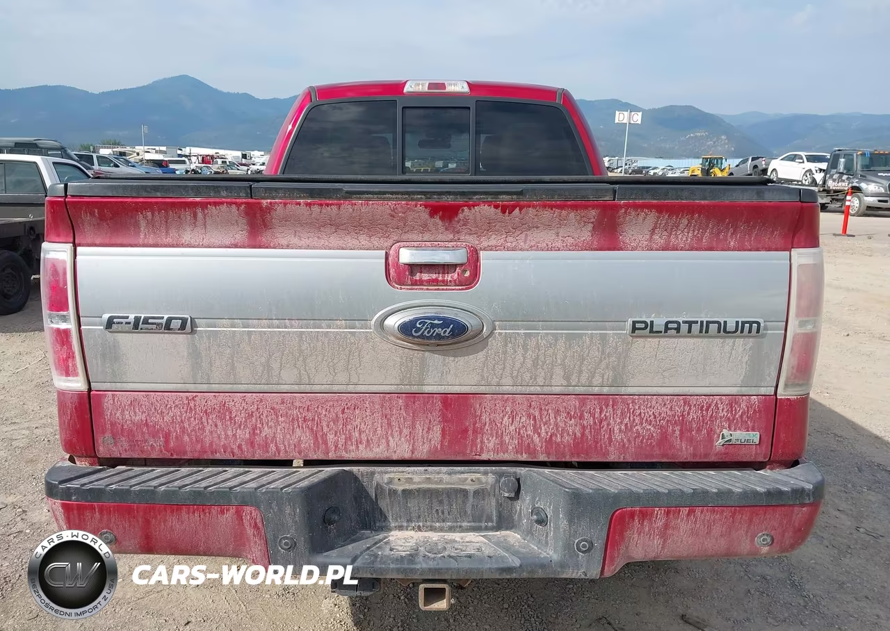 2010 Ford F-150 VIN:1FTFW1EV2AFD67337 - 15