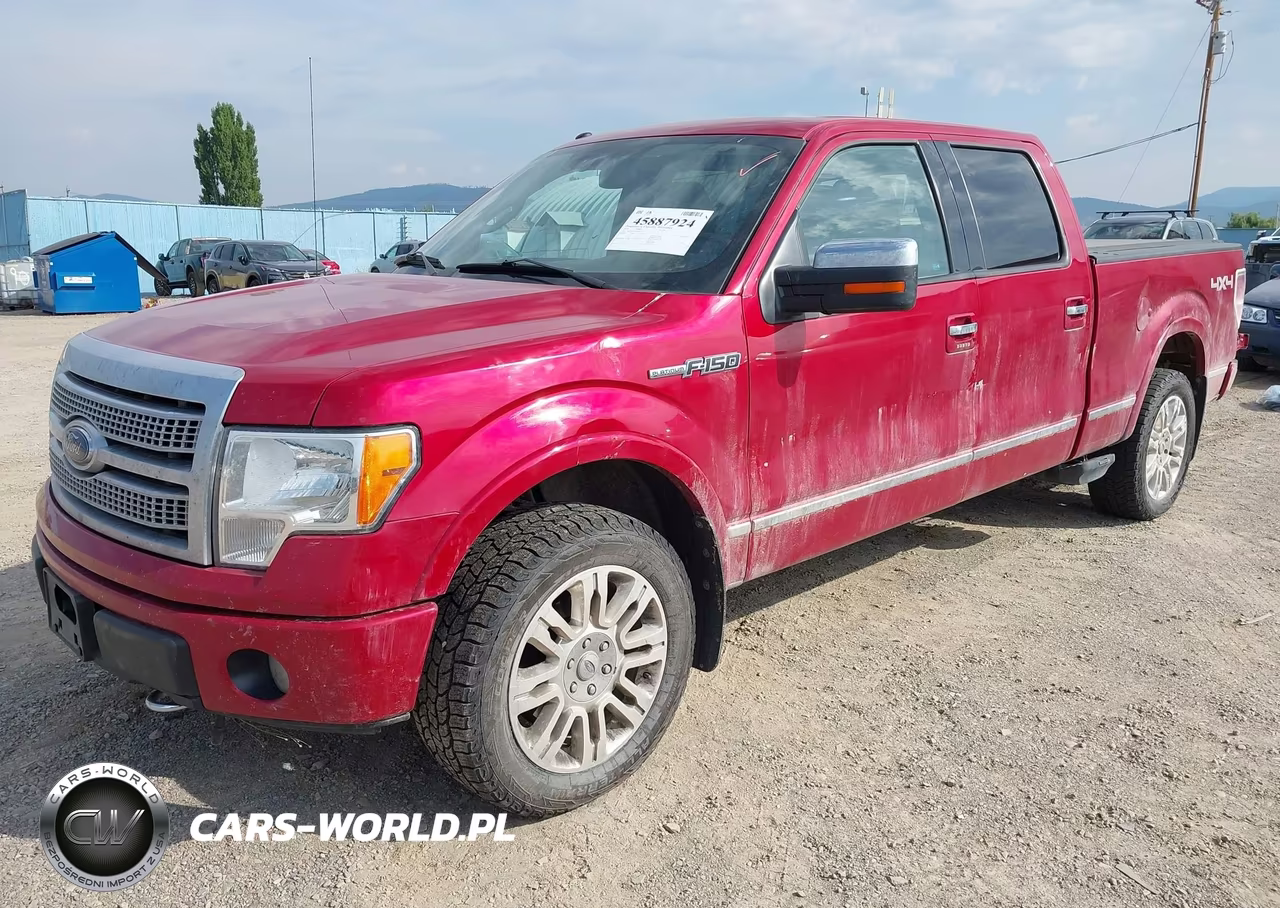 2010 Ford F-150 VIN:1FTFW1EV2AFD67337 - 2