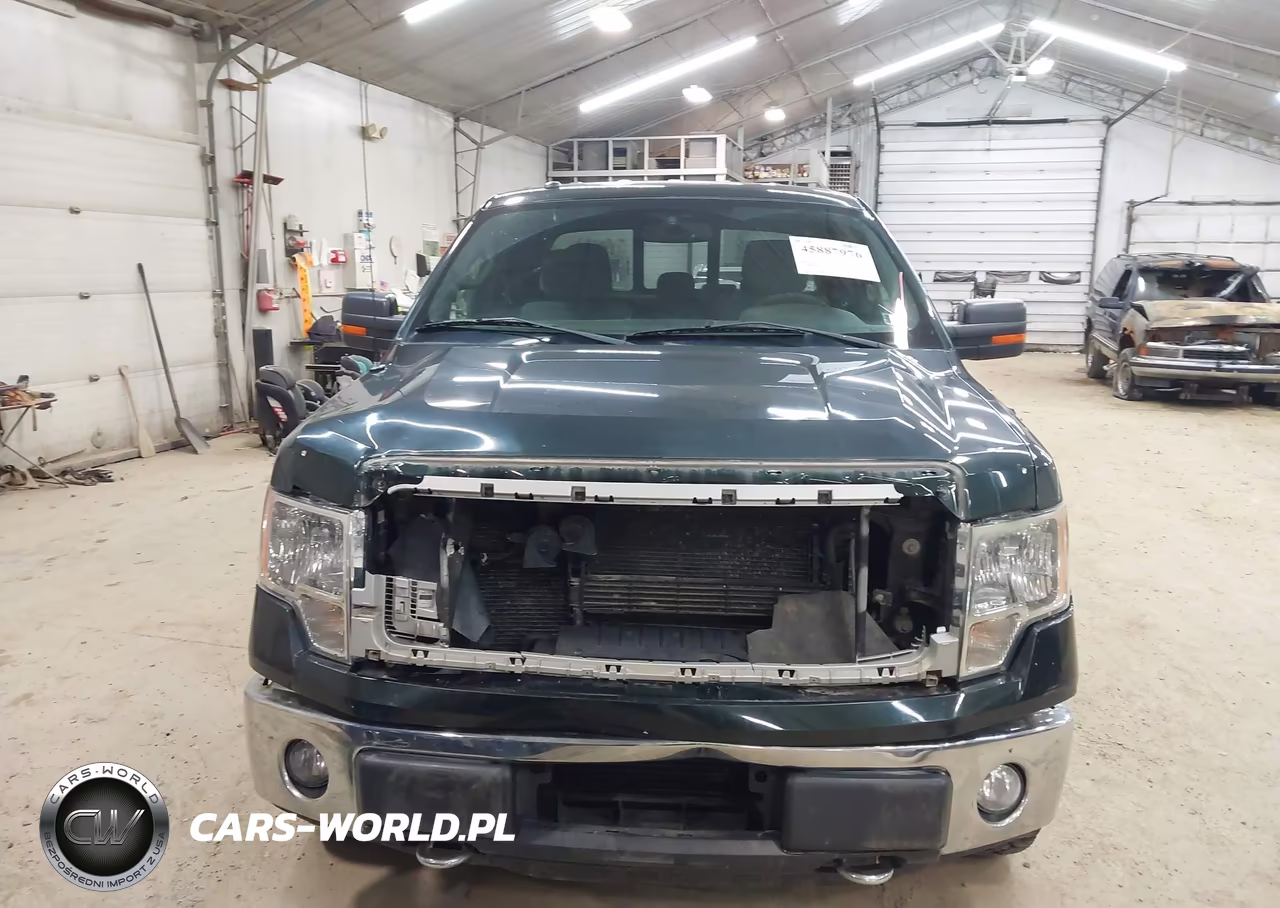 2014 Ford F-150 Xlt VIN:1FTFX1ETXEFD06318 - 12