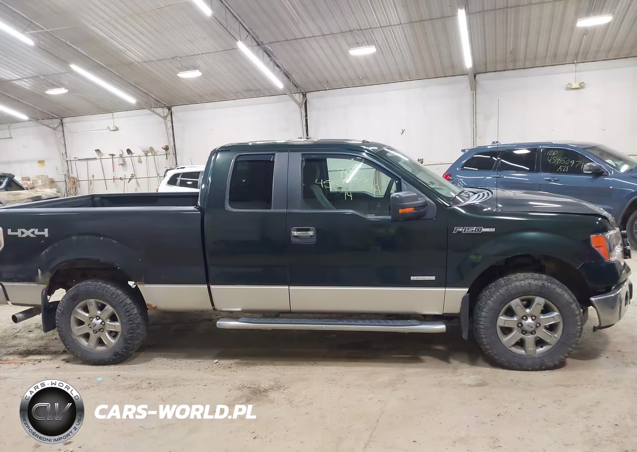 2014 Ford F-150 Xlt VIN:1FTFX1ETXEFD06318 - 13