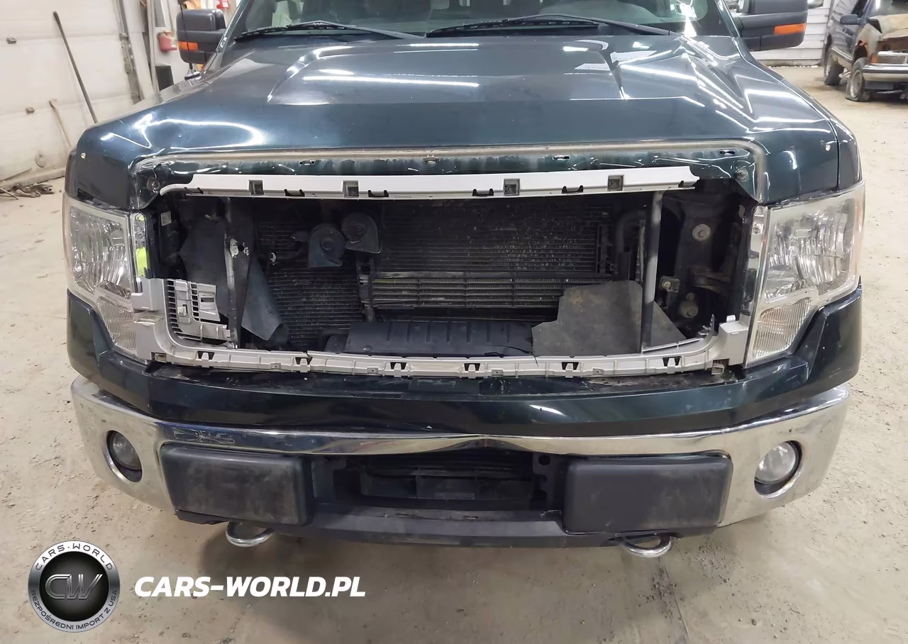 2014 Ford F-150 Xlt VIN:1FTFX1ETXEFD06318 - 6