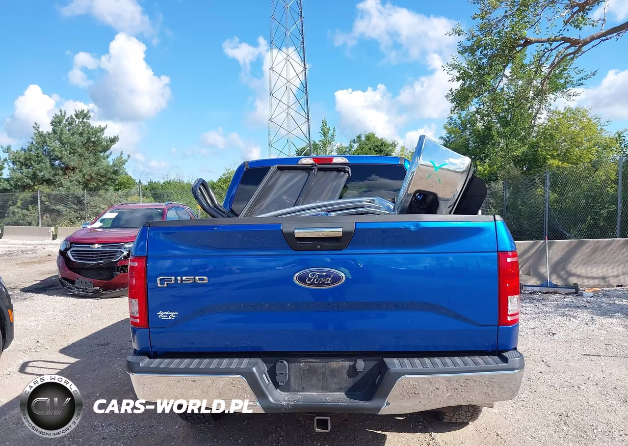2015 Ford F-150 Xlt VIN:1FTEW1EP0FFC17182 - 16