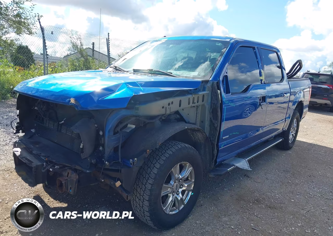 2015 Ford F-150 Xlt VIN:1FTEW1EP0FFC17182 - 17