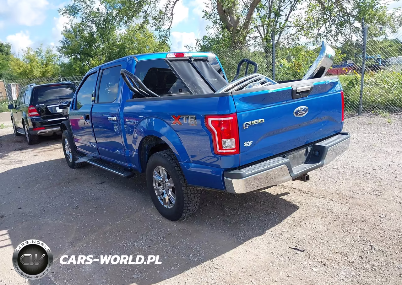 2015 Ford F-150 Xlt VIN:1FTEW1EP0FFC17182 - 3
