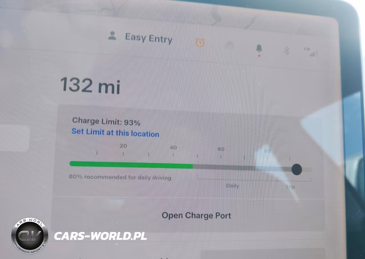 2020 Tesla Model 3 Long Range Dual Motor All-Wheel Drive VIN:5YJ3E1EB2LF710442 - 17