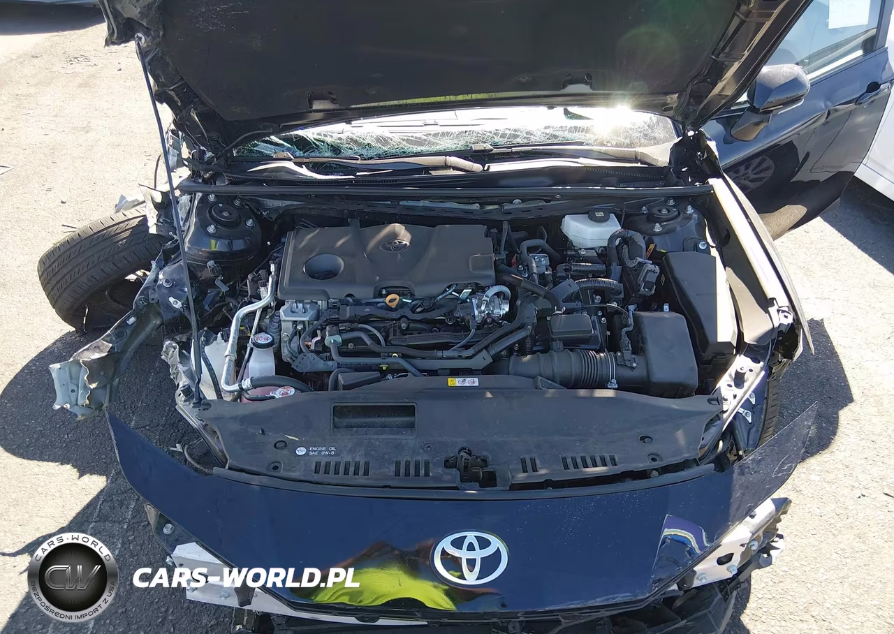 2025 Toyota Camry Le VIN:4T1DAACKXSU204247 - 10