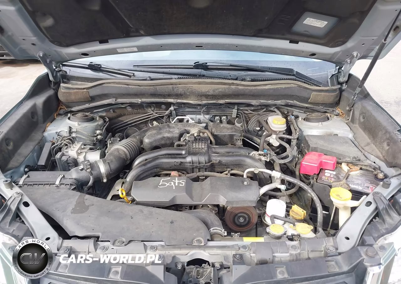 2016 Subaru Forester 2.5I Touring VIN:JF2SJAXC5GH484210 - 10