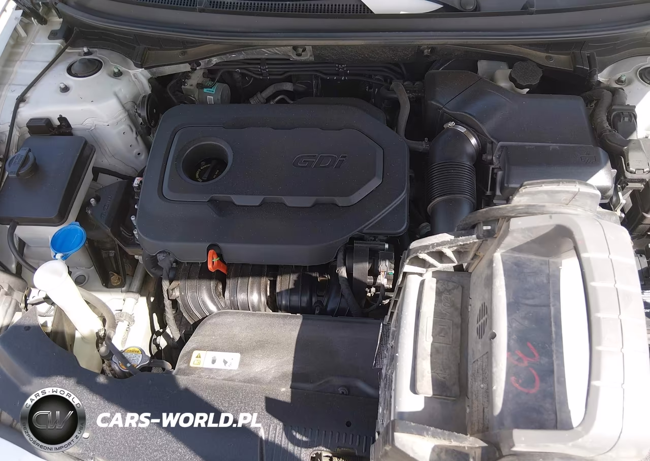 2015 Hyundai Sonata Se VIN:5NPE24AF8FH045855 - 10