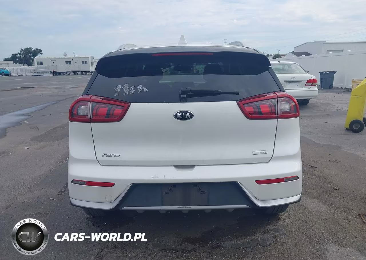 2018 Kia Niro Lx VIN:KNDCB3LC9J5204587 - 17