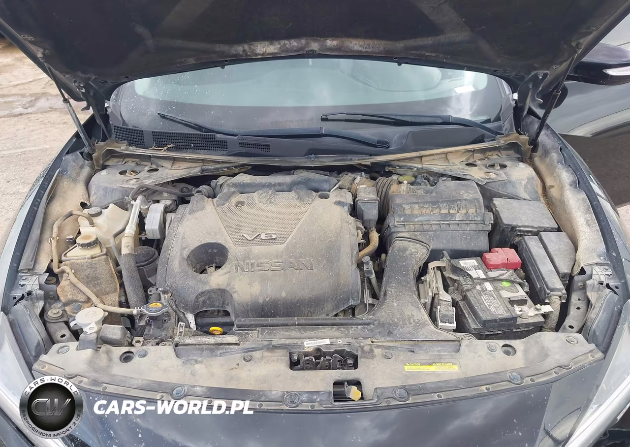 2020 Nissan Maxima Sl Xtronic Cvt VIN:1N4AA6DV1LC361594 - 10