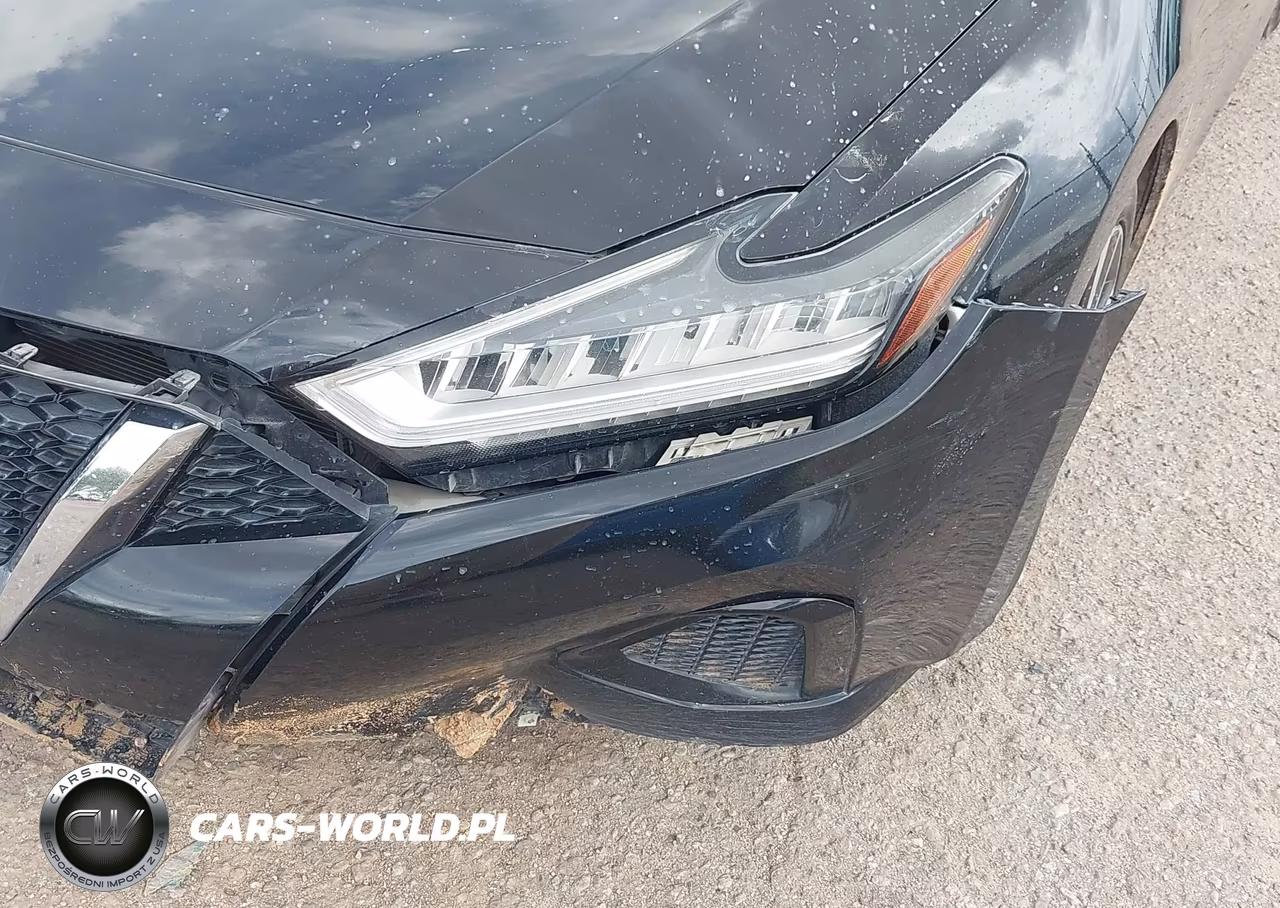 2020 Nissan Maxima Sl Xtronic Cvt VIN:1N4AA6DV1LC361594 - 6