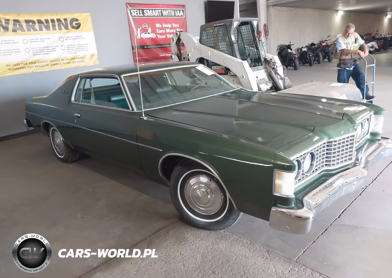 1969 Ford Galaxie