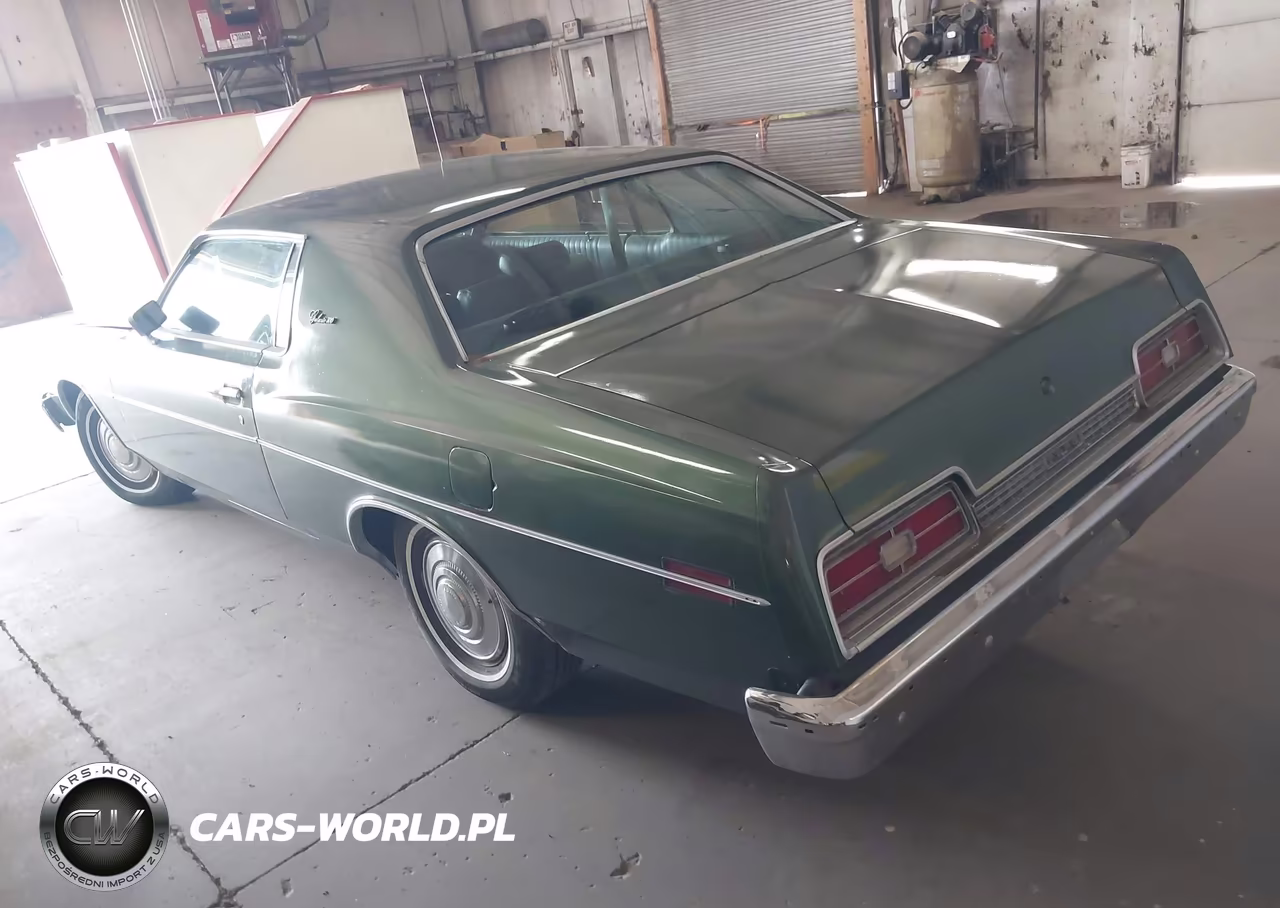 1969 Ford Galaxie VIN:3N58S100124 - 3