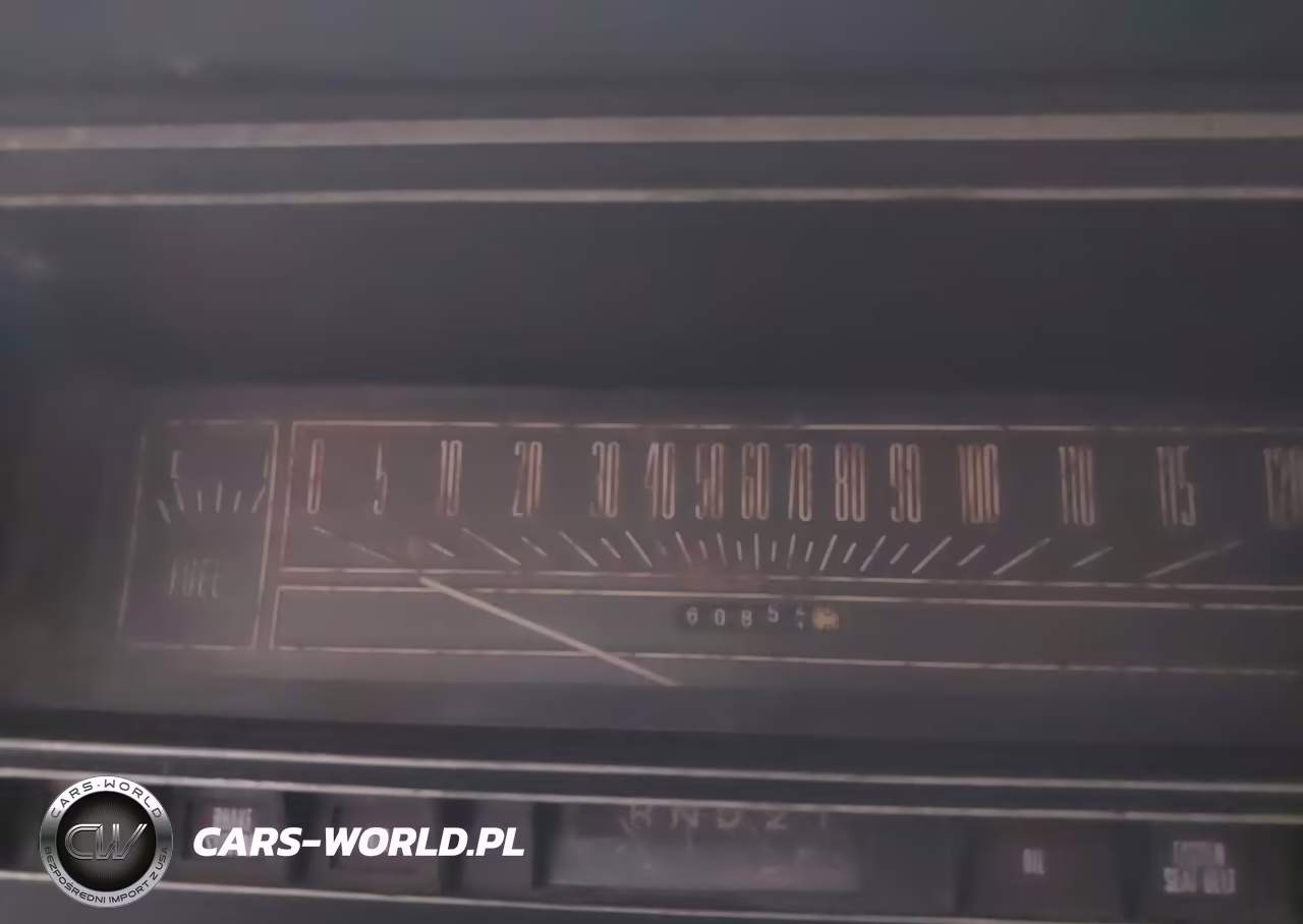 1969 Ford Galaxie VIN:3N58S100124 - 7