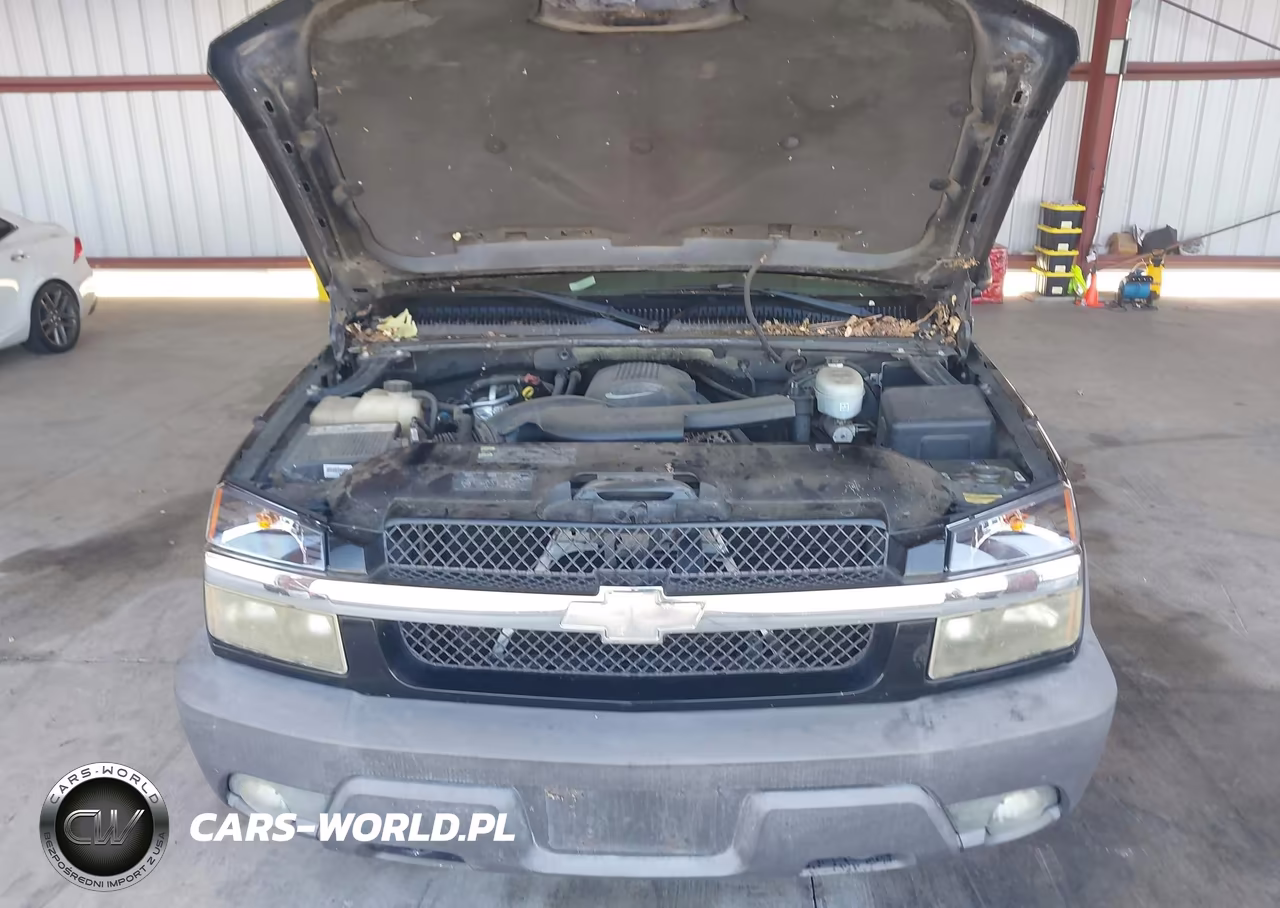 2003 Chevrolet Avalanche 1500 VIN:3GNEK13T33G135153 - 10