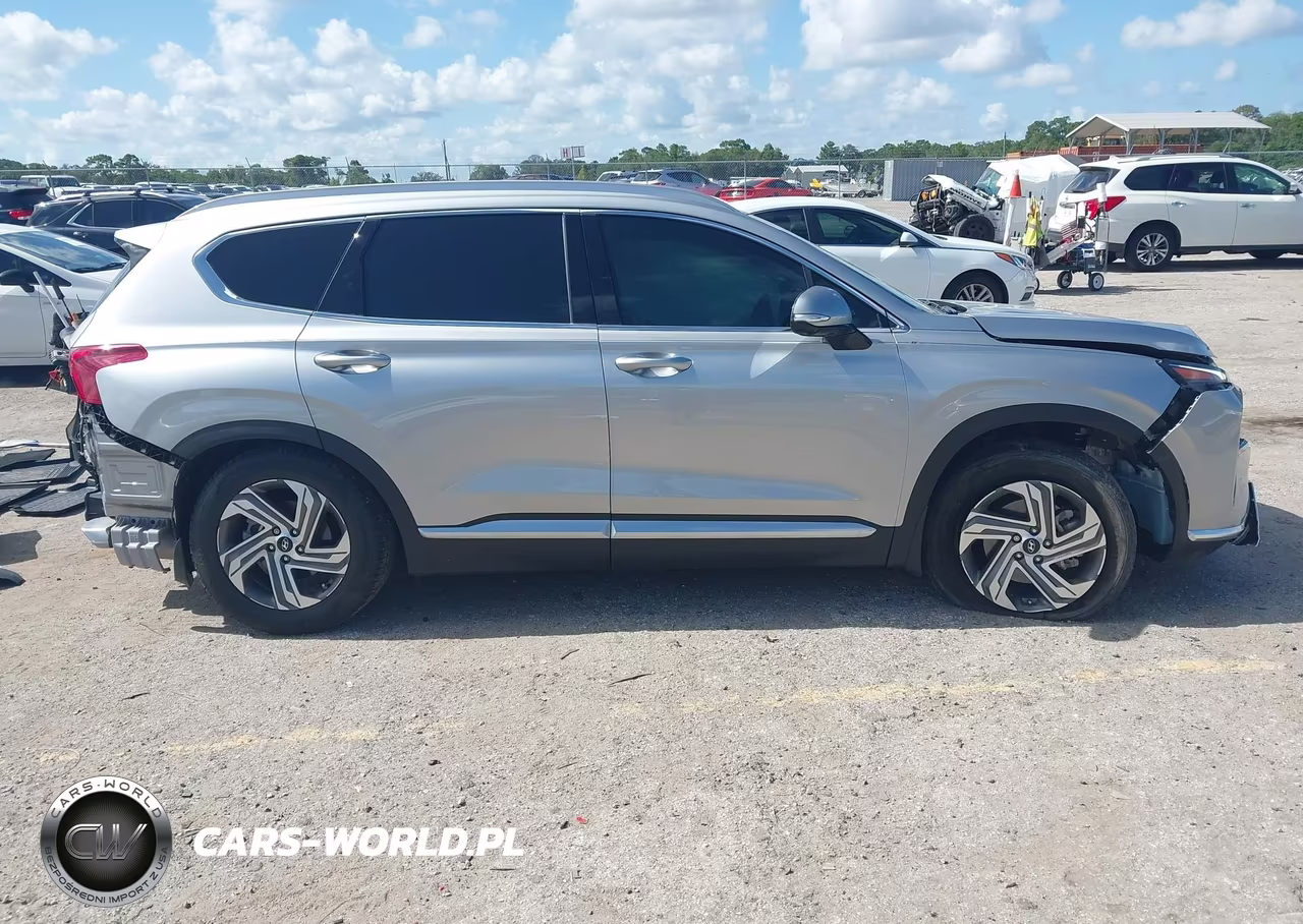 2023 Hyundai Santa Fe Sel VIN:5NMS34AJ1PH612393 - 13