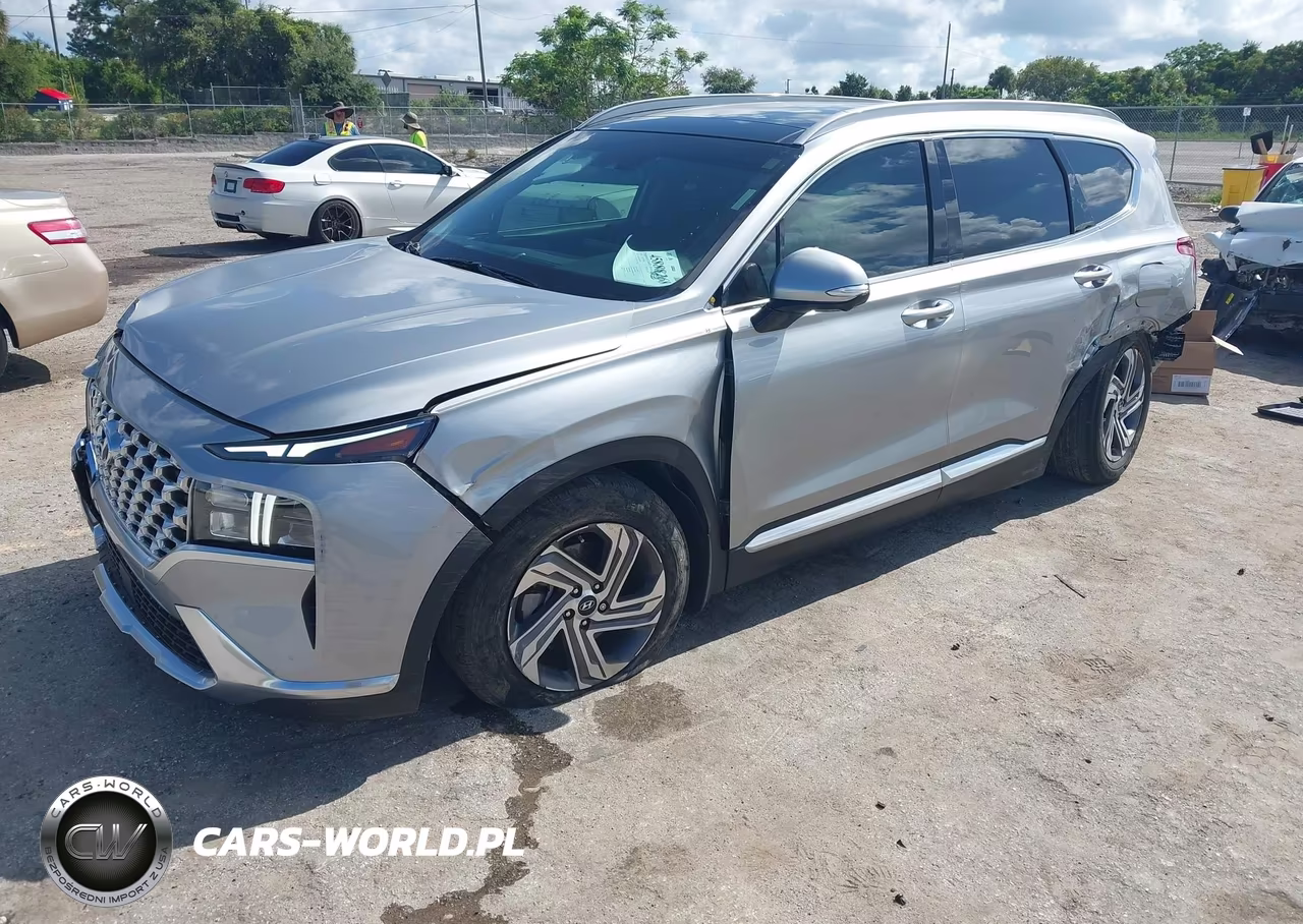 2023 Hyundai Santa Fe Sel VIN:5NMS34AJ1PH612393 - 2