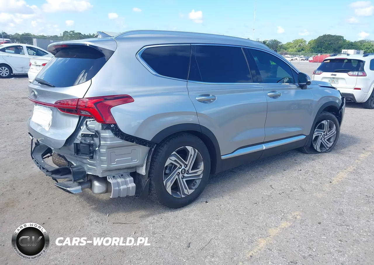 2023 Hyundai Santa Fe Sel VIN:5NMS34AJ1PH612393 - 4