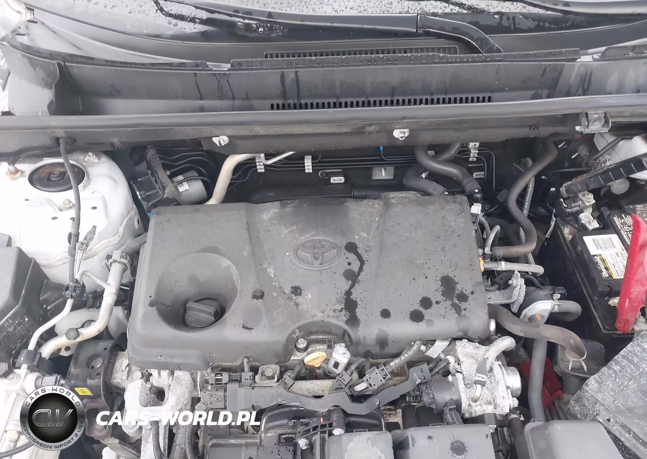 2022 Toyota Rav4 Xle VIN:2T3W1RFV9NW220383 - 10