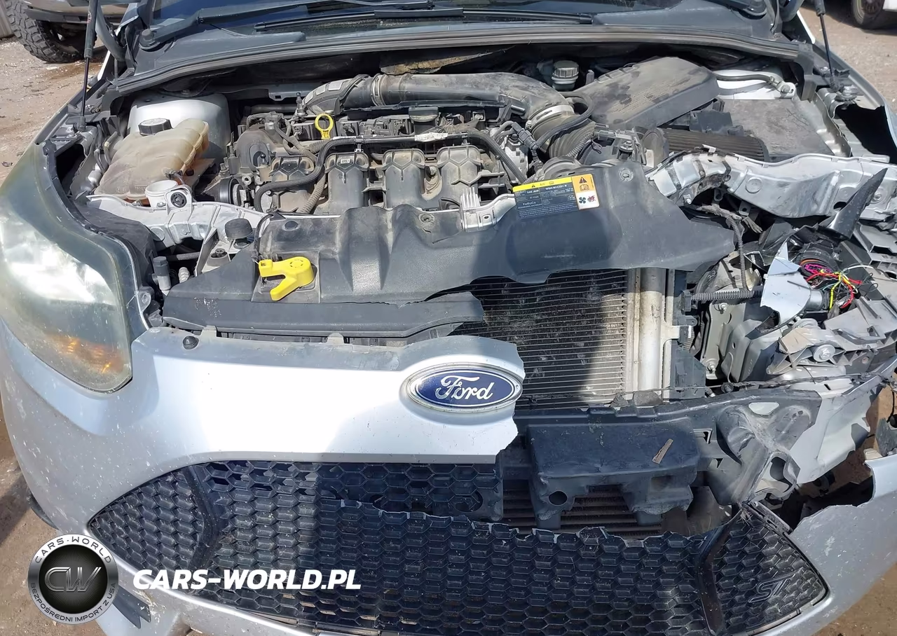 2013 Ford Focus St VIN:1FADP3L99DL352318 - 10