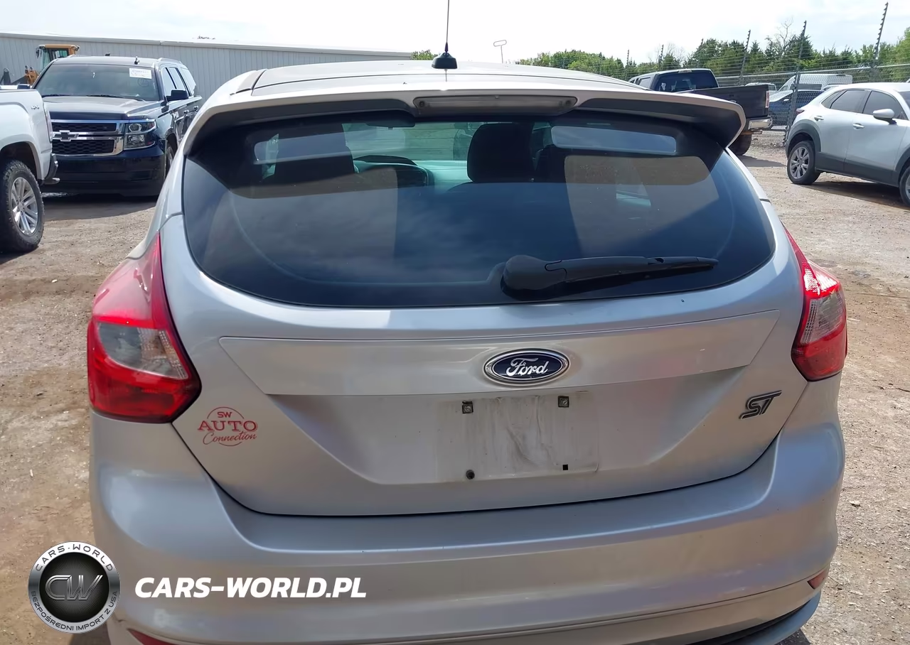 2013 Ford Focus St VIN:1FADP3L99DL352318 - 17