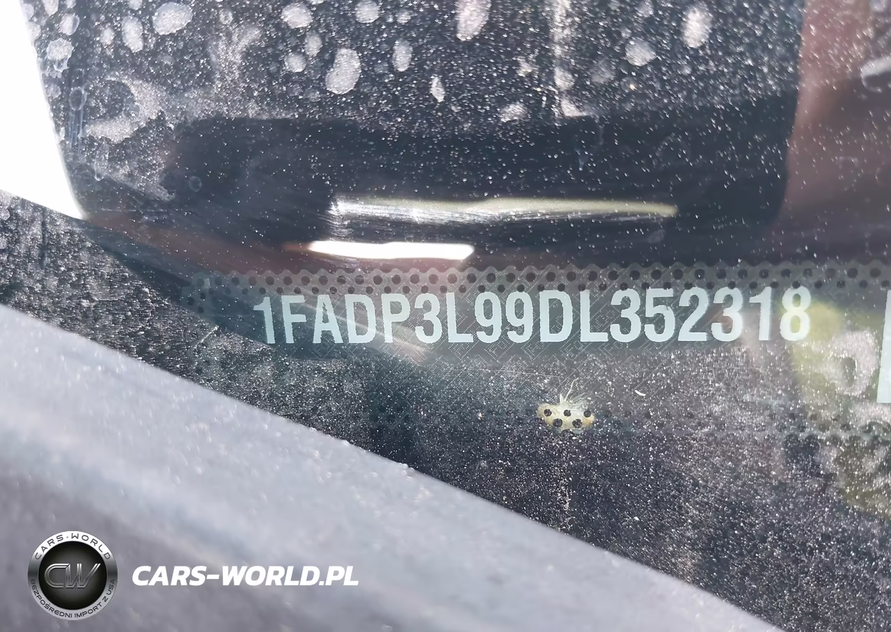 2013 Ford Focus St VIN:1FADP3L99DL352318 - 9